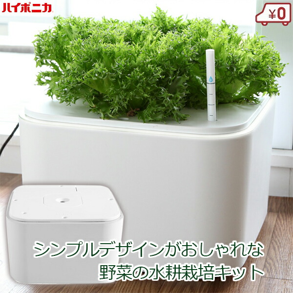 楽天市場】ハイポニカ 水耕栽培キット 家庭用 家庭菜園 水耕栽培