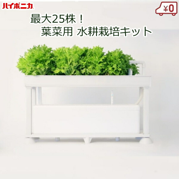 ハイポニカ 水耕栽培キット ホームハイポニカPLAABO(プラーボ) 家庭用 家庭菜園 水耕栽培 装置 セット 液肥付き 室内 屋内 野菜 葉物野菜 レタス ハーブ 観葉植物 おしゃれ ガーデニング 協和 11,248円