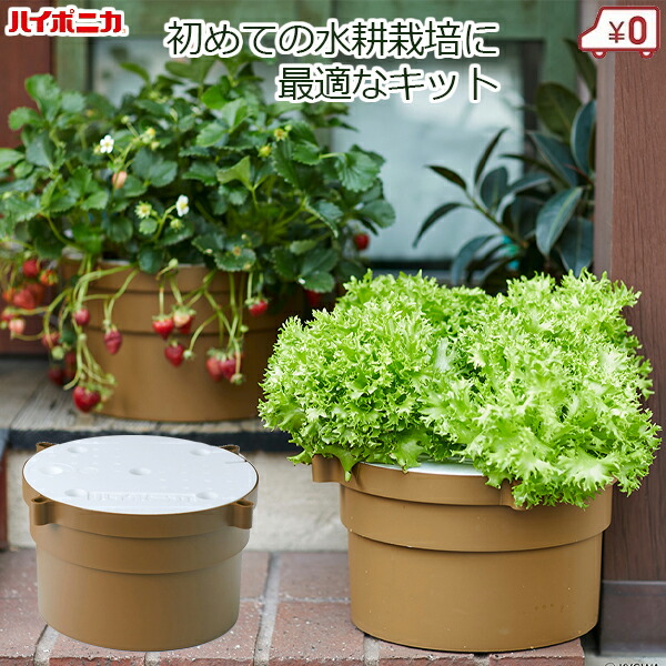ハイポニカ 水耕作りだす一揃いの道具 ホームハイポニカぷくぷく2 身寄り用 身寄り家庭菜園 水耕作りだす備え付ける 水耕作りだす 書き割り 室内 屋内 液肥付き添い人 蔬菜 赤なす 萵苣 オランダ苺 草本 回廊 今めかしい ガーデニング 協和