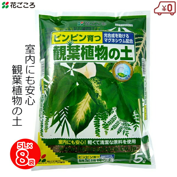 花ごころ 観葉植物の土 5L×8袋 40L 培養土 土 観葉植物 鉢植え 室内 元肥入り マグネシウム配合 家庭用 園芸 ガーデニング 4,435円