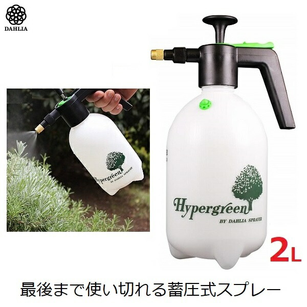 59%OFF!】 セフティ3 ハンドスプレー 1000ml