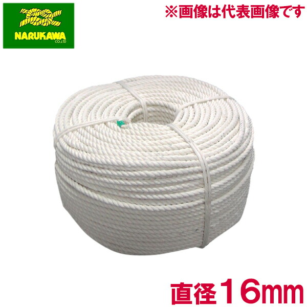 売れ筋 【即日発送】  【M4XNH4P9HO1】 限定デザイン