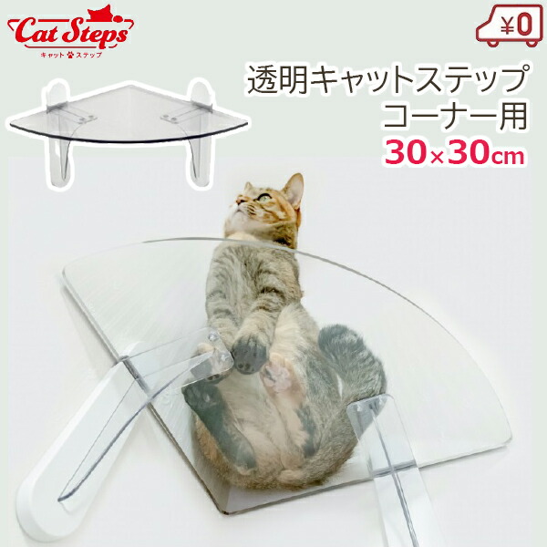 楽天市場】【ポイント10倍】《タカラ産業/FK》キャットステップ