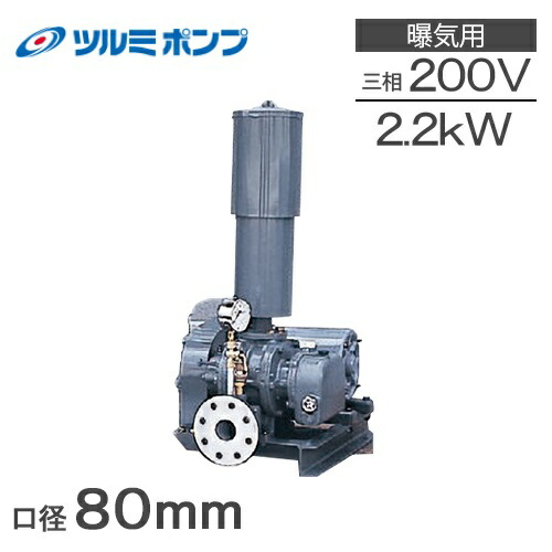 ツルミポンプ ルーツブロワー RSR-80 2.2kw 三相200V 80mm 鶴見ポンプ エアーポンプ ブロアー 曝気ブロワ エアポンプ|S.S.N