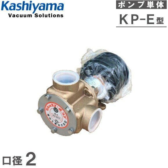 楽天市場】樫山工業 セレックスポンプ KP-300BCH 2インチ DC24V