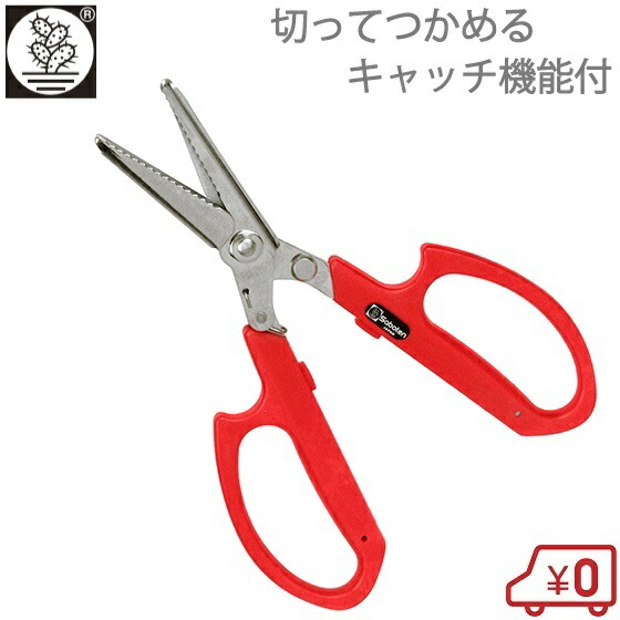 楽天市場 サボテン 採果鋏 No Ag 15 キャッチ機能付 収穫鋏 採花 花バサミ 農業用 剪定鋏 剪定ばさみ 剪定バサミ s s n 楽天市場 サボテン 採果鋏 No Ag 15 キャッチ機能付 収穫鋏 採花 花バサミ 農業用 剪定鋏 剪定ばさみ 剪定バサミ s s n
