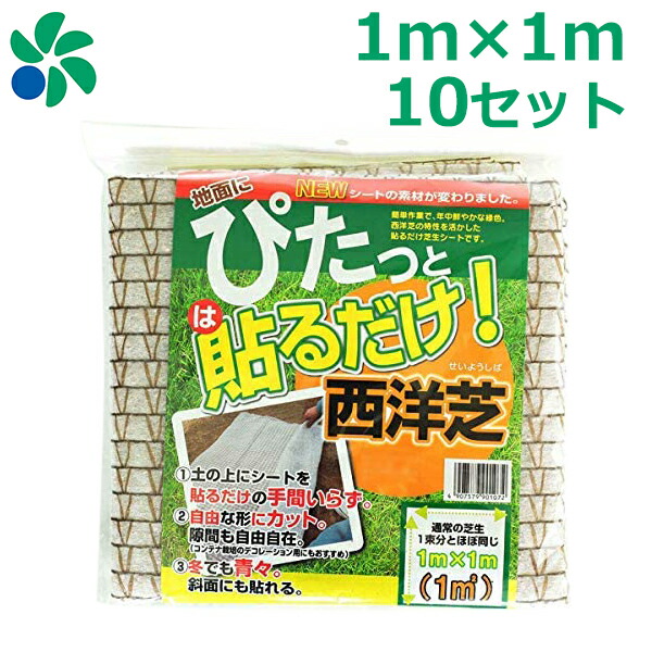 買い保障できる大特価 送料無料 養生 貼るだけ芝生シート ハサミでカット可能な芝生養成キットです 10枚セット 育成 10枚セット 芝生 植え替え 種まき 雑草対策 庭 1m 1m 芝生 10平米分 庭 お得特価