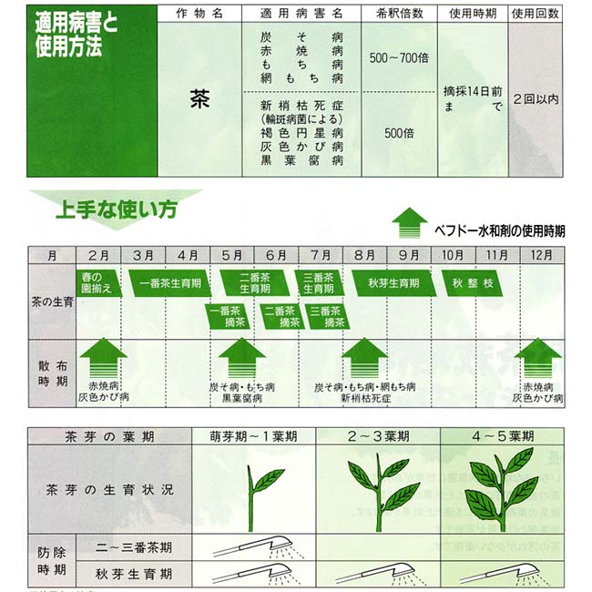 殺菌剤 ベフドー きゅうり 水和剤 500g サンケイ 農薬 薬剤