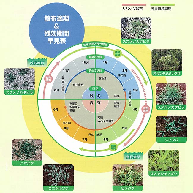 春の新作 芝生用除草剤 シバゲンdf g 3個セット 水和剤 ゴルフ場 雑草対策 防除 農薬 薬剤 石原バイオ Fucoa Cl