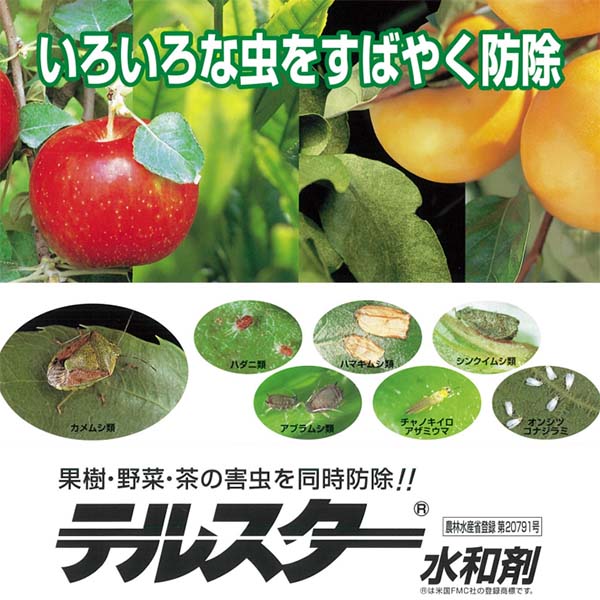 市場 殺虫剤 500g ハマキムシ カメムシ アブラムシ ハダニ テルスター 水和剤