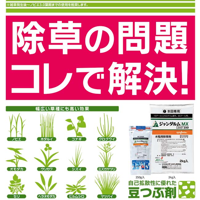 蔵 水稲用除草剤 ジャンダルムMX1キロ粒剤 1ｋｇ×12袋セット fucoa.cl