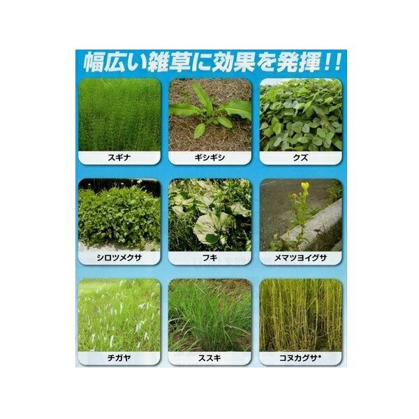 有名な シンジェンタ タッチダウンiQ 除草剤 除草液 5L 5000ml 1本 高濃度 散布 噴霧 雑草 スギナ ツユクサ 竹 ササ グリホサート  畑 果園 畦 水田 稲 畦畔 家庭菜園 庭 駐車場 墓 fucoa.cl