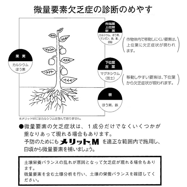 国内在庫 肥料 メリットM 20kg 微量要素肥料 液肥 液体肥料 野菜 果物 果樹 微量要素欠乏症対策 きゅうり 生科研 fucoa.cl