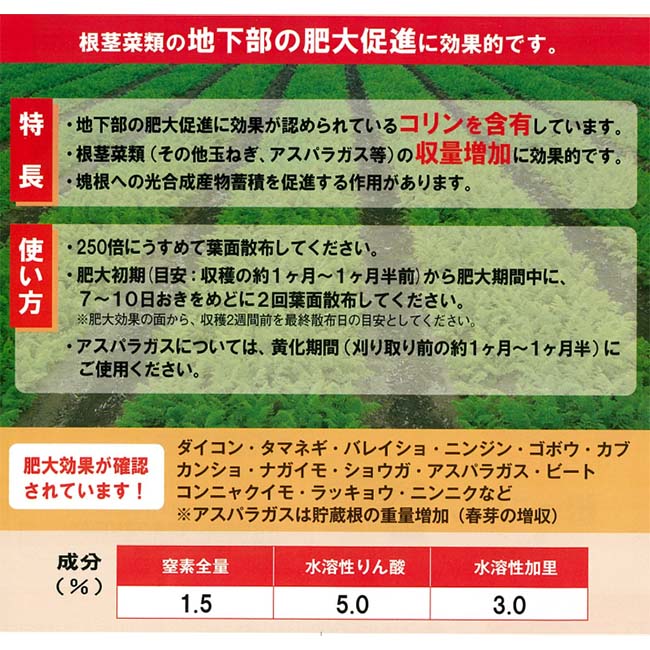 2021人気新作 肥料 根っこりん 20kg コリン含 液肥 液体肥料 根茎菜類 野菜 果実 果物 生科研 fucoa.cl