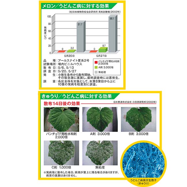 市場 殺菌剤 農薬 薬剤 パンチョTF 100g 顆粒水和剤