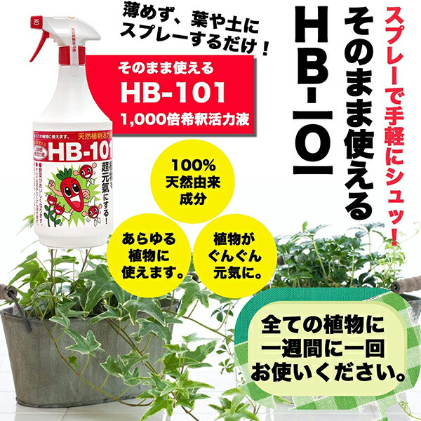 楽天市場 フローラ Hb 101 600ml 希釈済み そのまま使えるタイプ 植物 活力剤 天然 活性剤 栄養剤 野菜 果物 有機栽培 ｓ ｓ ｎ