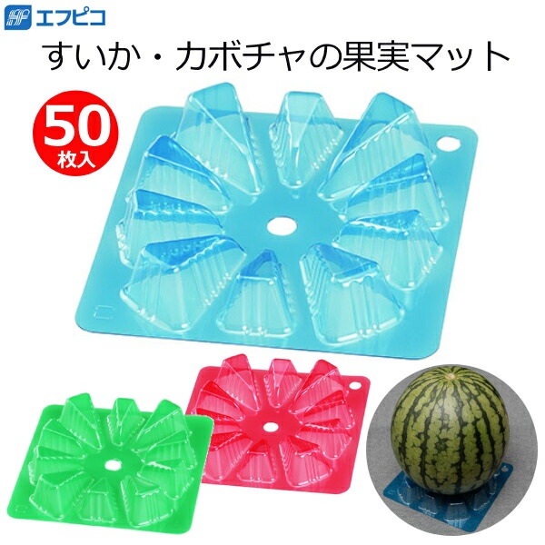 すいか様 2015 Kawasaki Ninja ZX-6R 30th Anniversary- First Look Review