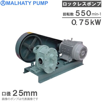 丸八ポンプ ロックレスポンプ ORV型 25mm/0.75kw 全閉外扇屋外モーター付 [ギヤーポンプ ギヤポンプ]｜Ｓ．Ｓ．Ｎ