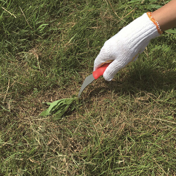 訳あり商品 Sita 雑草取り 雑草抜き 草抜き 除草 草抜きフォーク 雑草 清掃 庭 除草用具 庭造り ステンレス さびにくい 園芸 ガーデニング A628 Toyama Nozai Co Jp