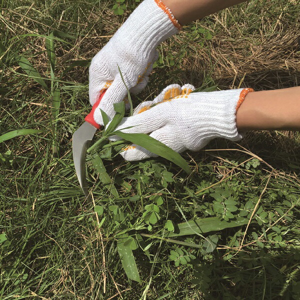 最大91 オフ Sita 雑草鎌 草刈り鎌 除草鎌 雑草取り 除草 雑草 清掃 庭 除草用具 庭造り ステンレス さびにくい 園芸 ガーデニング A629 Toyama Nozai Co Jp