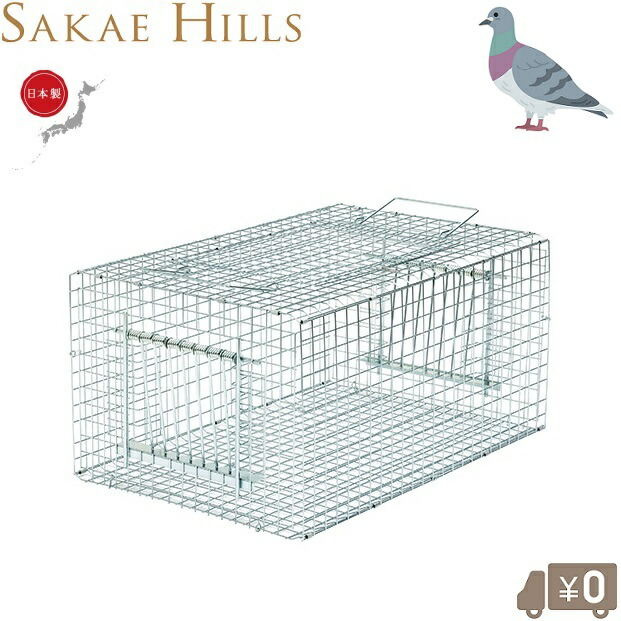 栄ヒルズ ハト捕獲器 日本製 鳩捕獲器 RF1 はと捕獲器 ハト対策 バードトラップ 鳥捕獲器 保護器 ドバト カワラバト｜Ｓ．Ｓ．Ｎ