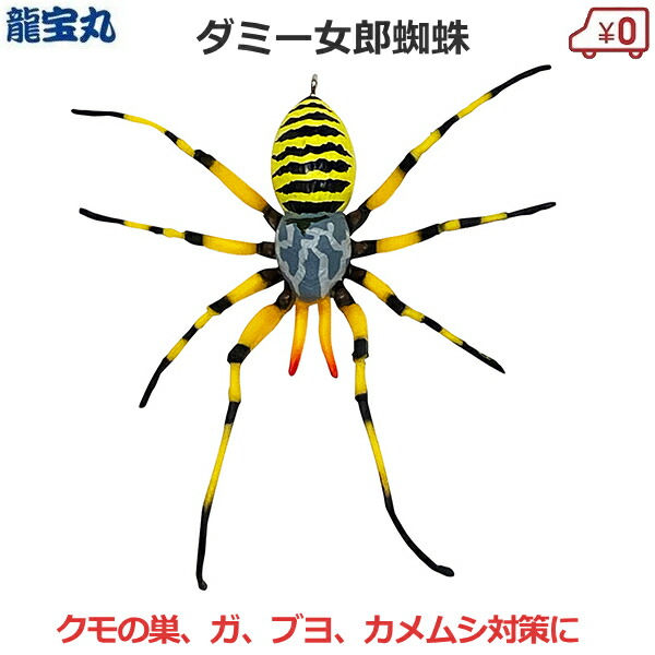 毒蜘蛛 シドニージョウゴグモ - Wikipedia