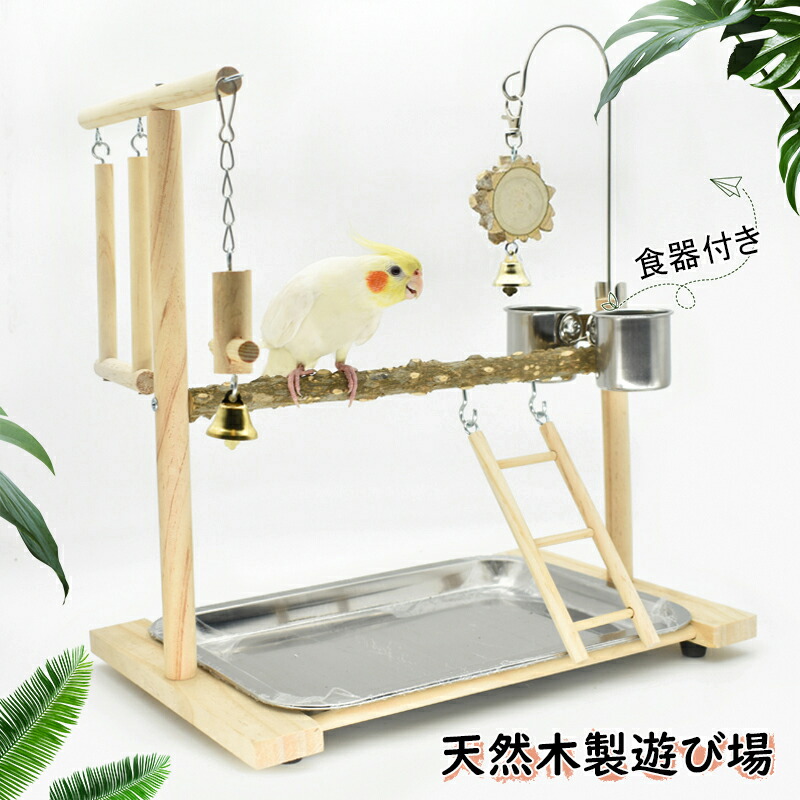 楽天市場】【3層設計】インコ 大型 バードアスレチック スタンド