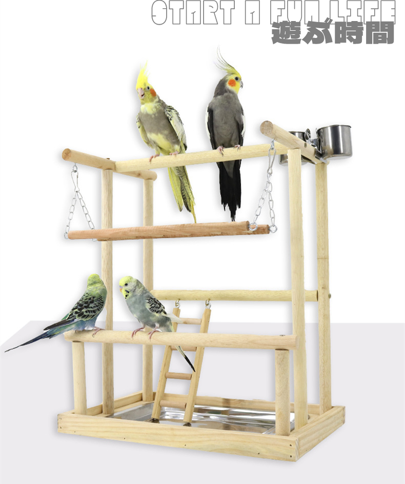 木製 鳥用遊び場 スイング付き*5 楽天市場】インコ 遊び場 鳥用 アスレチック 2層 バードトイ 鳥
