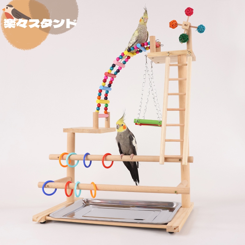 楽天市場】【3層設計】インコ 大型 バードアスレチック スタンド 楽天市場】【3層設計】インコ 大型 バードアスレチック スタンド