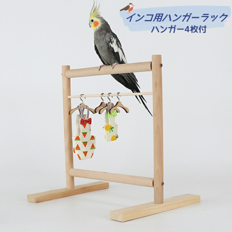 楽天市場】インコ 遊び場 三層 バード アスレチック 玩具 スタンド 止まり木 はしご 食器 水器 鳥 巣 カゴ 遊園地 秋千 ラダー ベル 鳥の巣  鳥栖 オウムブランコ 鳥グッズ セキセイインコ 文鳥 アスレチック 玩具 スタンド 止まり木 原木 : ペットアイランド