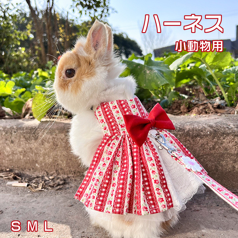 【新品現品】CFIERCE Rabbit Skull Belt うさぎ　ベルト CFIERCE BUNNY BELT – CFierce
