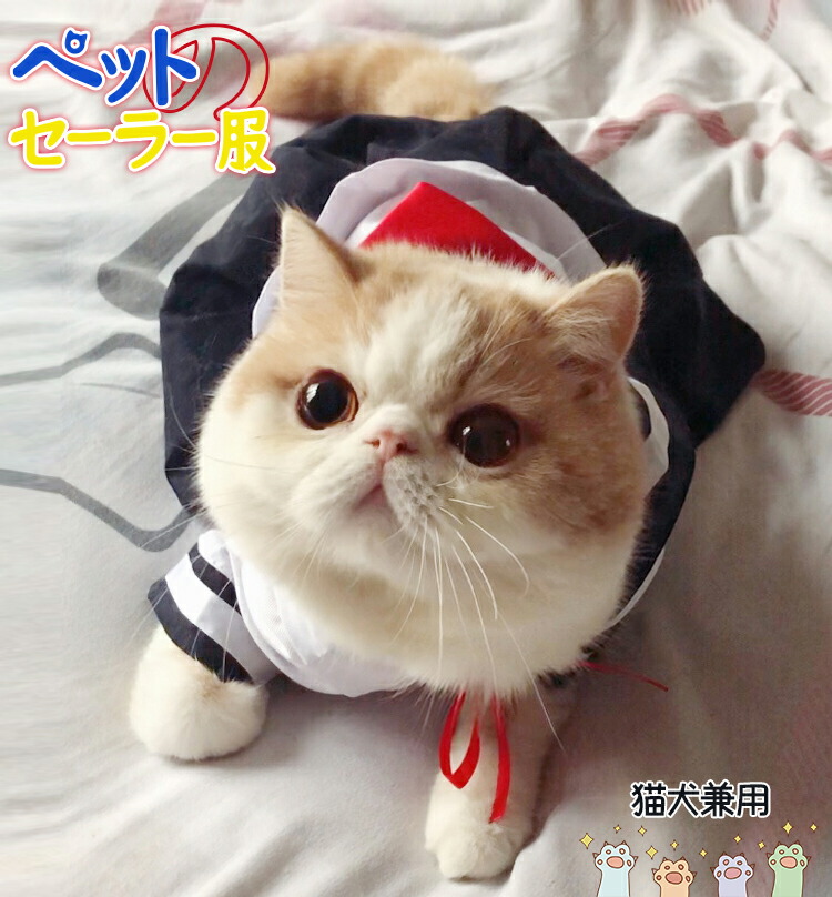 服 特攻服 ロングタイプ 24モデル 赤 ※名入れ刺繍オプション有り