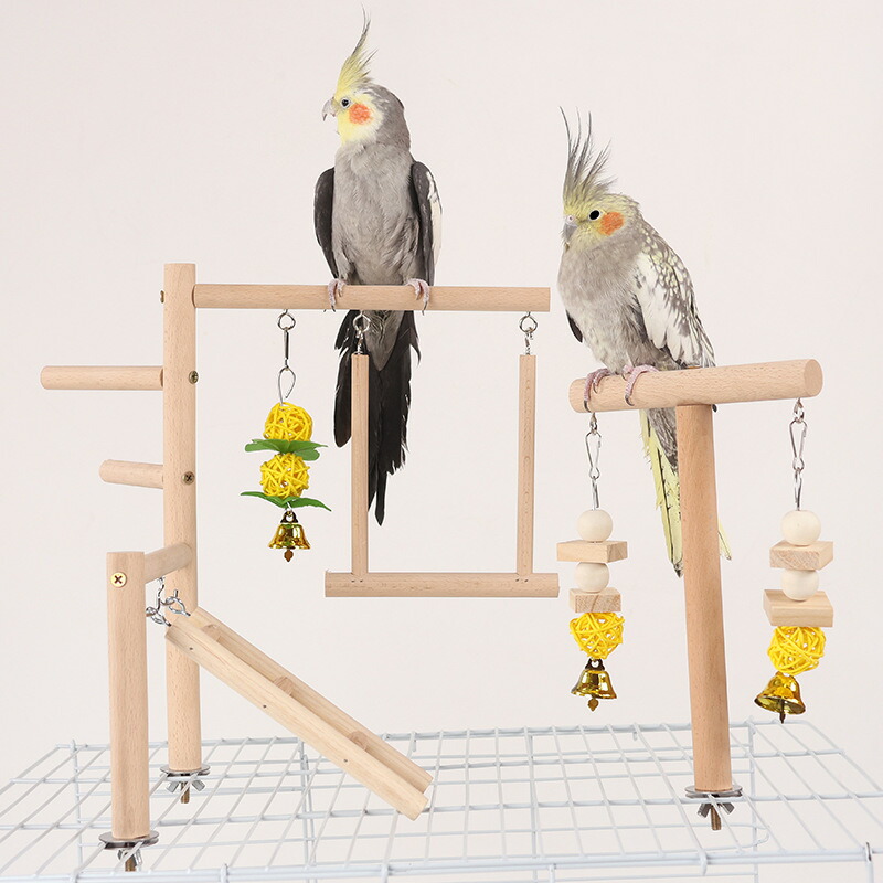 楽天市場】 【新作登場】インコ 遊び場 バード アスレチック