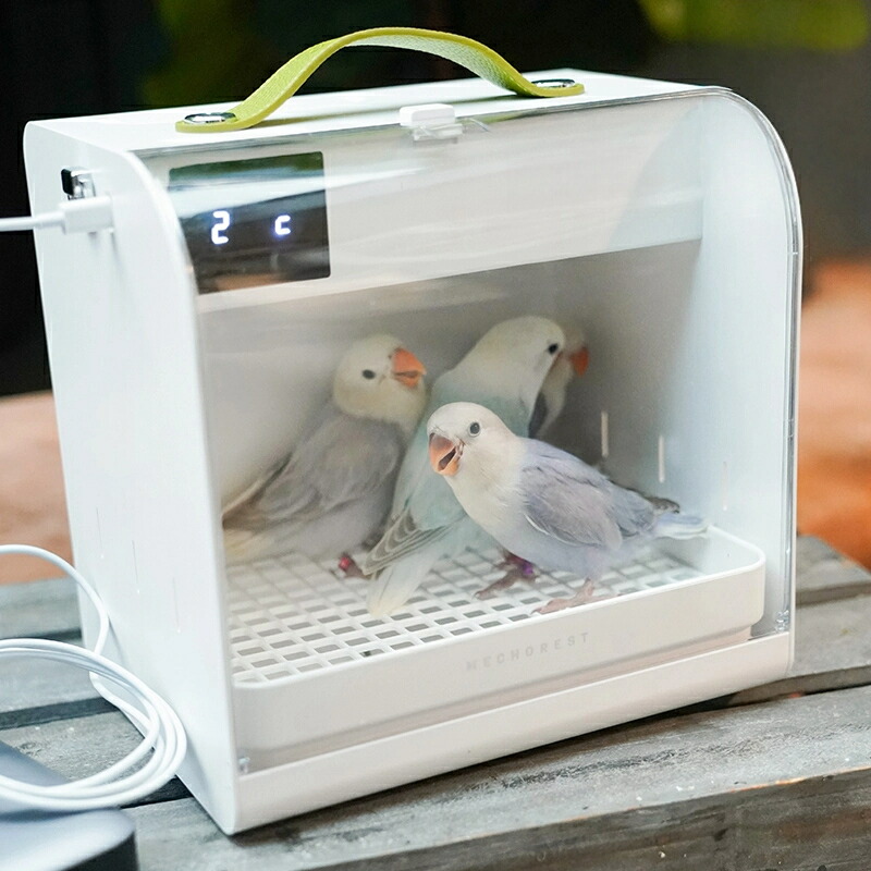 楽天市場】More Style 飼鳥専用恒温保温ケース CURE 日時指定