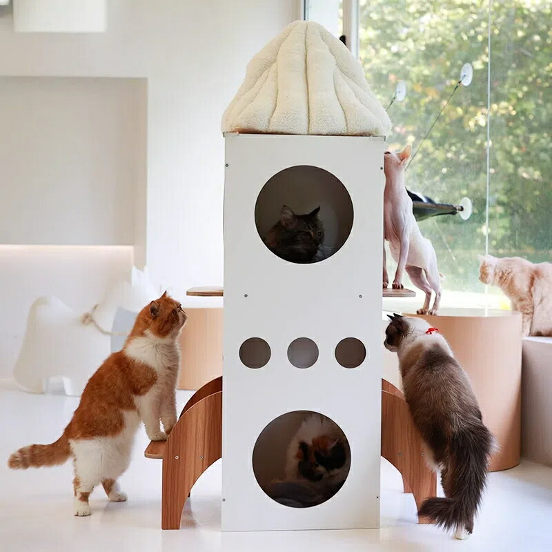 楽天市場】【スーパーSALE限定×10%OFF】【宇宙基地で遊べる！】大型