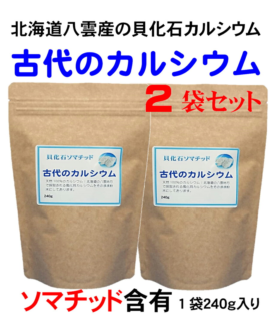 古代ソマチッド［石タイプ100g×10袋］ 古代ソマチッド［石タイプ100g］ - メルカリ