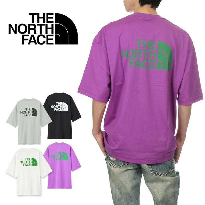 ザ・ノース・フェイス Tシャツ メンズ レディース THE NORTH FACE ノースフェイス ティーシャツ ショートスリーブ シンプルカラー スキームティー 半袖 バックプリント コットン 綿100% 大きいサイズ ゆったり 厚手 アウトドア ブランド S M L XL LL 黒 白 グレー 紫 NT32434