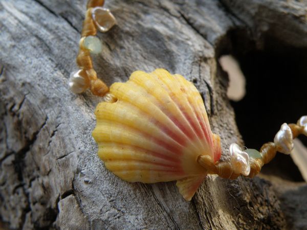 Beach Girl Jewels “North Shore Sunrise Shell Bracelet” ビーチガール サンライズシェル ハワイブレスレット ロコガール サーフ サーファー アロハ ジュエリー フラダンス ハンドメイド ハワイ直輸入 Hawaiian ギフト プレゼント
