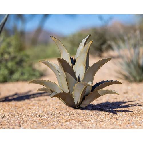 Desert Steel Metal Americana Agave 乾荒原 スチール写真 金属元素 アメリカーナ アガベ 飾りつけ 置き型 アメリカン 苑地 ガーデニング 植栽 泊まり たまり場 創業 バス発着場 枯れない草木 エントランス状態 見せびらかす会 亜米利加 素っ気ない苑地 庭 金属元素 かざり付ける 見せびらかす