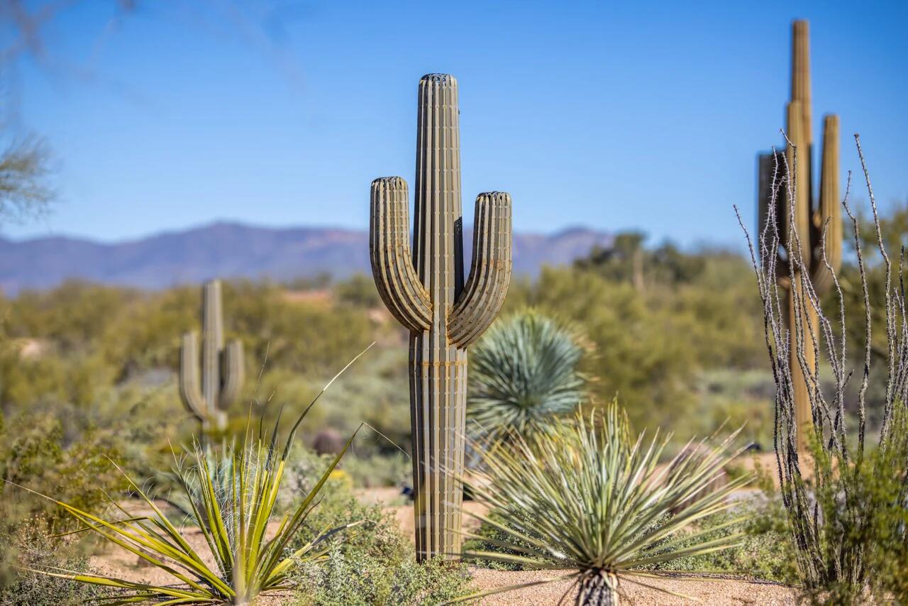 Desert Steel Saguaro Cactus 乾荒原 スチール写真 サワロ サボテン 飾りつけ 草木 カクタス 置き型 アメリカン 庭園  亜米利加 旅人宿 たまり場 商用併設 素っ気ない庭園 ラグジュアリー かざり付ける 見せびらかす【超大型】【引き取り】【チャーター便】【貨物輸送お積もり書き】