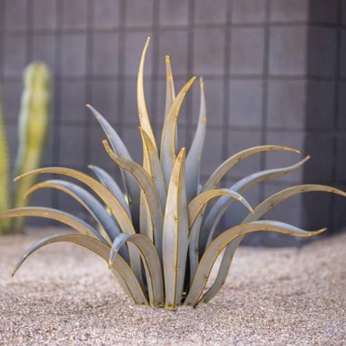Desert Steel Octopus Agave 乾荒原 スチール写真 オクトパス アガベ 飾りもの 置き型 アメリカン 園地 ガーデニング 泊まり 営利主義創立 バス発着場 溜まり場 亜米利加 素っ気ない園地 庭 金属元素 かざり付ける 見せびらかす 亜米利加雑貨 アメリカン【大型】