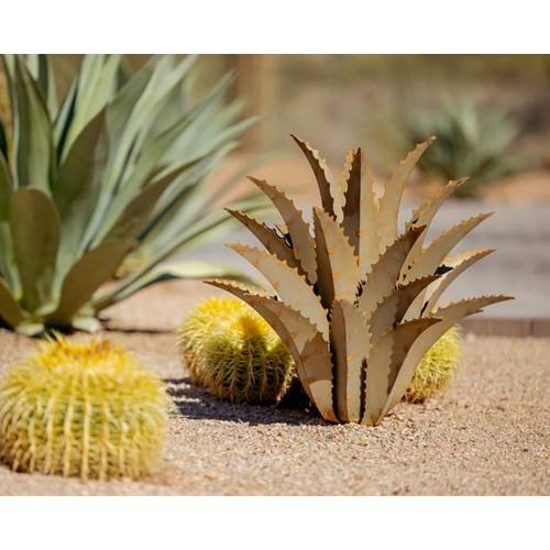 Desert Steel Sawtooth Agave 乾荒原 スチール写真 ソウトゥース アガベ 飾りつけ 置き型 アメリカン 苑地 ガーデニング 庭 亜米利加 素っ気ない苑地 泊まり バス発着場 商用創業 たまり場 金属元素 かざり付ける 見せびらかす 亜米利加雑貨 アメリカン雑貨