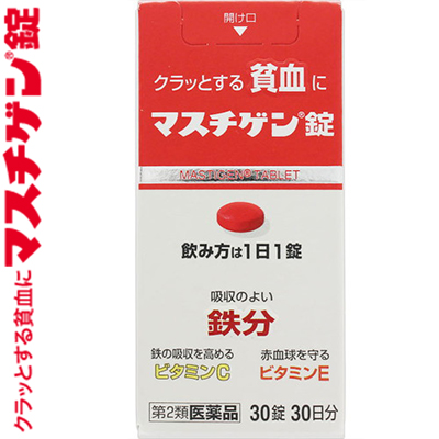 日本臓器製薬 マスチゲン経口避妊薬 30錠 序数2毛色薬 Hotjobsafrica Org