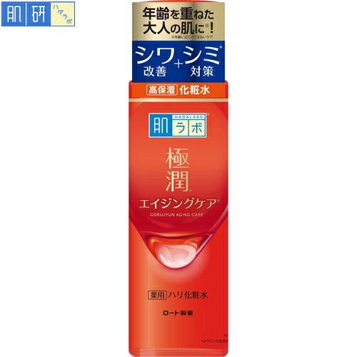 ロート製薬 肌ラボ 極潤 薬用 ハリ化粧水 170ml 2点セット 肌ラボ 極潤 薬用ハリ化粧水 薬用ハリ乳液スキンケア ギフト 化粧水 乳液 セットスキンケアセット スキン フェイス 研究 ビューティ  コスメ トラブル 解消 シワ シミ 改善 ロート製薬 トライアル | miui