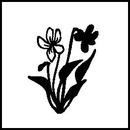 楽天市場 ネコポス発送ok 植物スタンプ スミレ Stamp Loveースタンプラブー