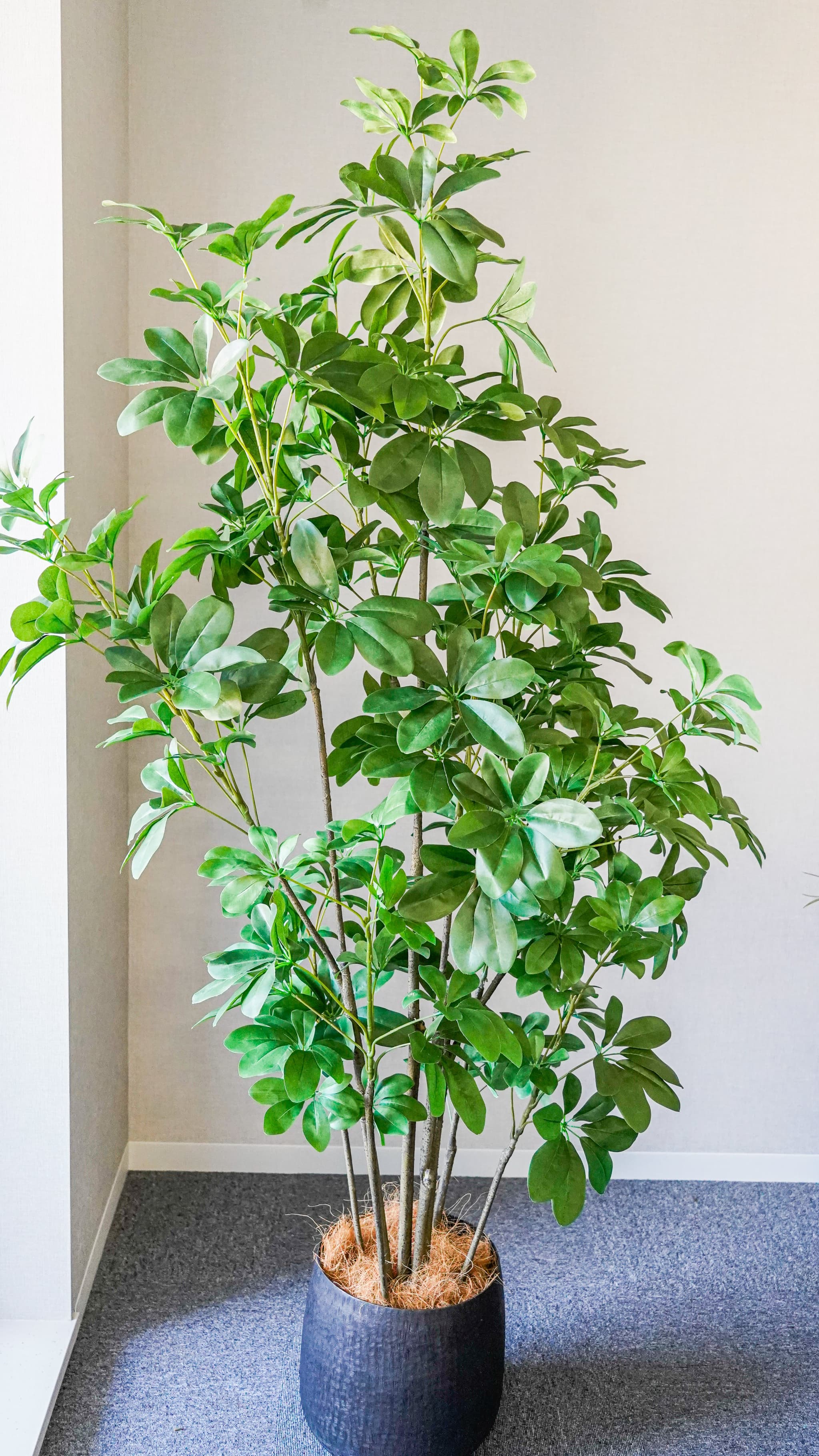 ＼今だけクーポン!4/4～10／長身シェフレラ182cm フェイクグリーン 造花 人工観葉植物 インテリア 大きい big インテリア 無料ギフトサービス 送料無料 おしゃれ 開店祝い 贈り物 ラッピング可能 プレゼント ギフト 観葉植物 ディスプレイ