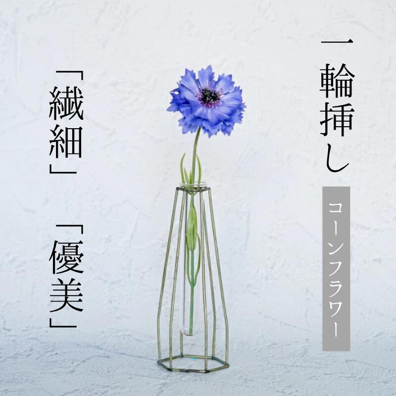 【美品】  ブルーフラワー　17cm 6P 618 産直】ミディファレノ「Blue Gene（ブルージーン）」5本立ち | 青山