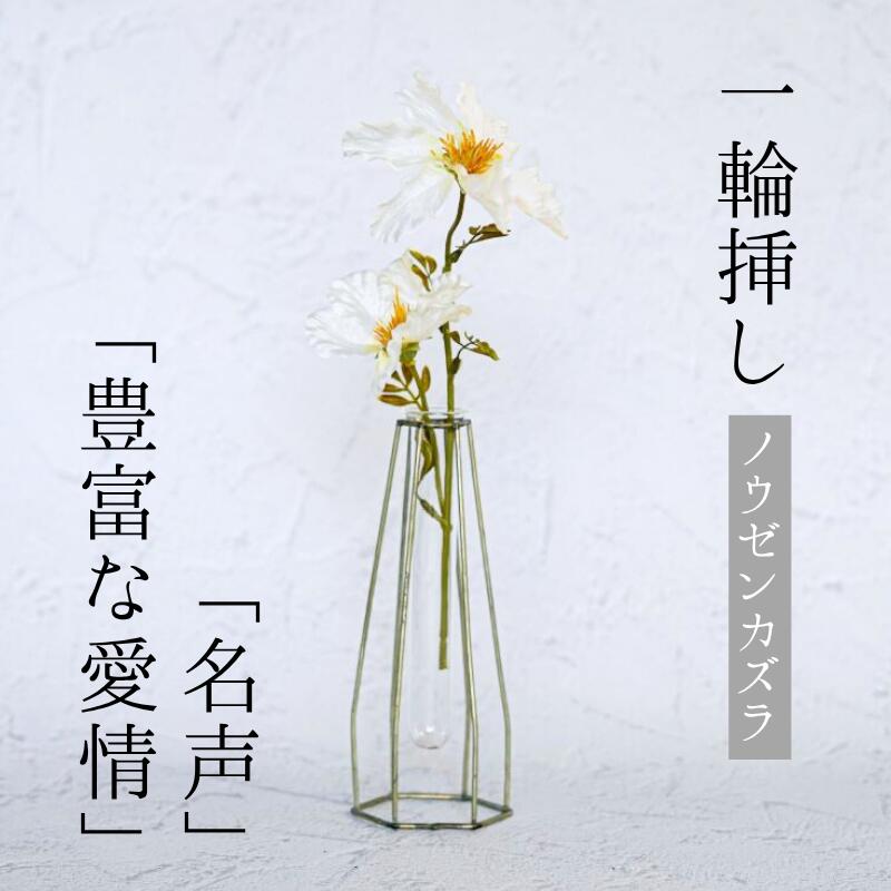 楽天市場】＼今だけクーポン!3/4〜11／Single Flower 【ノウゼンカズラ