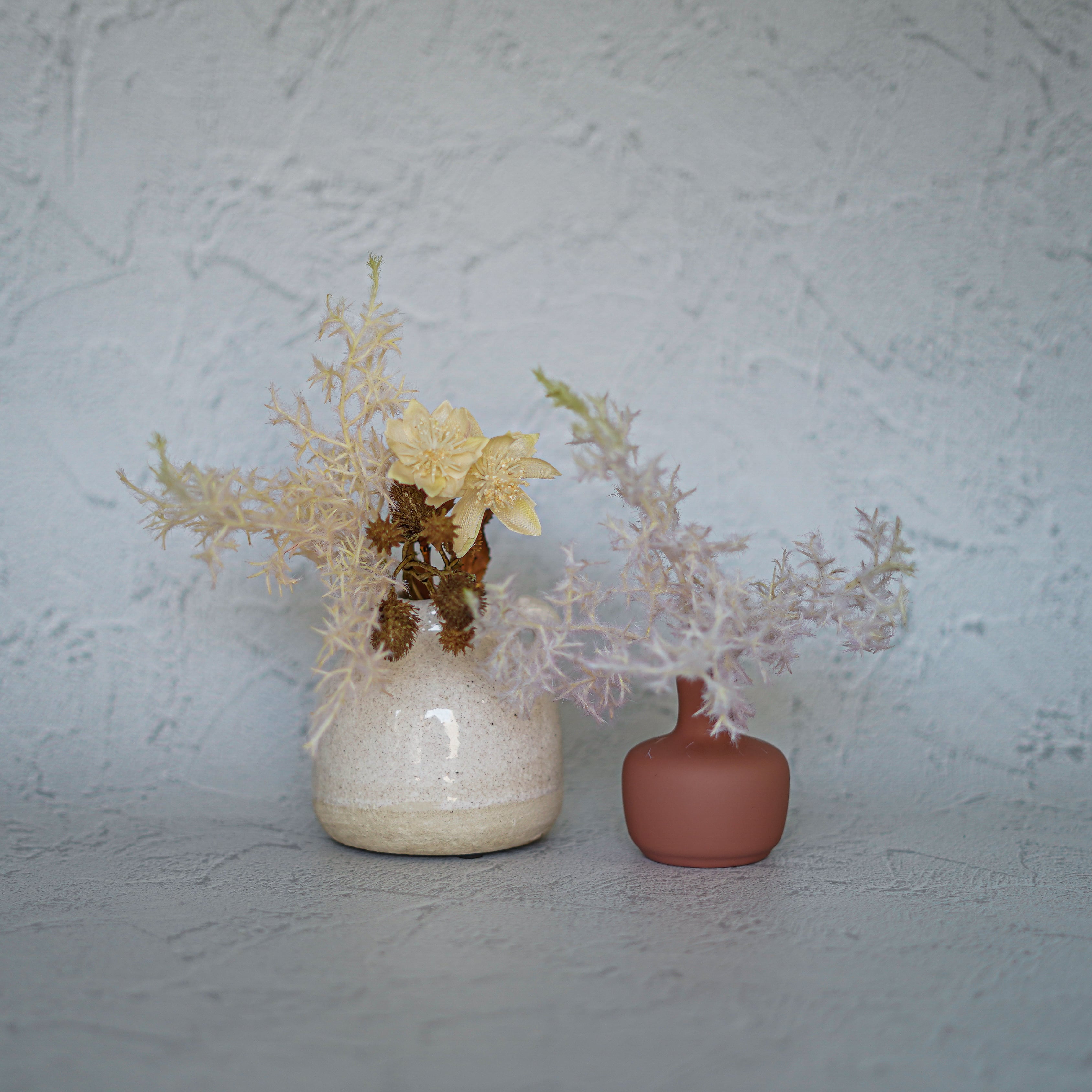 楽天市場】Single Flower 【クリスマスローズ】 一輪挿し 花