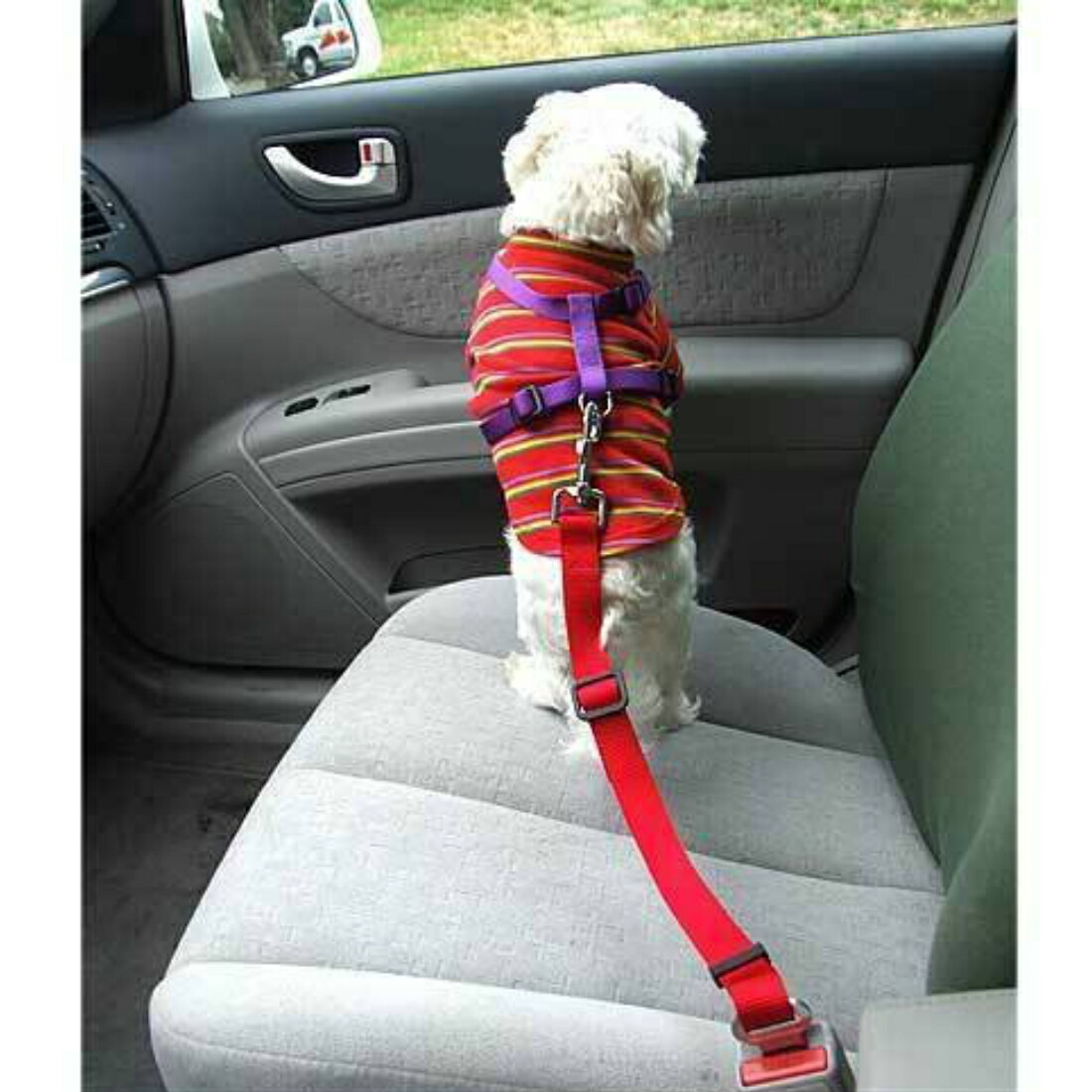 ペット用 シートベルト ドライブ ネコ 動物 旅行 犬 猫 移動 赤 車 送料無料 青 黒 新しい 犬 ペット用 シートベルト ドライブ ネコ 動物 旅行 犬 猫 移動 赤 車 送料無料 青 黒 新しい 犬